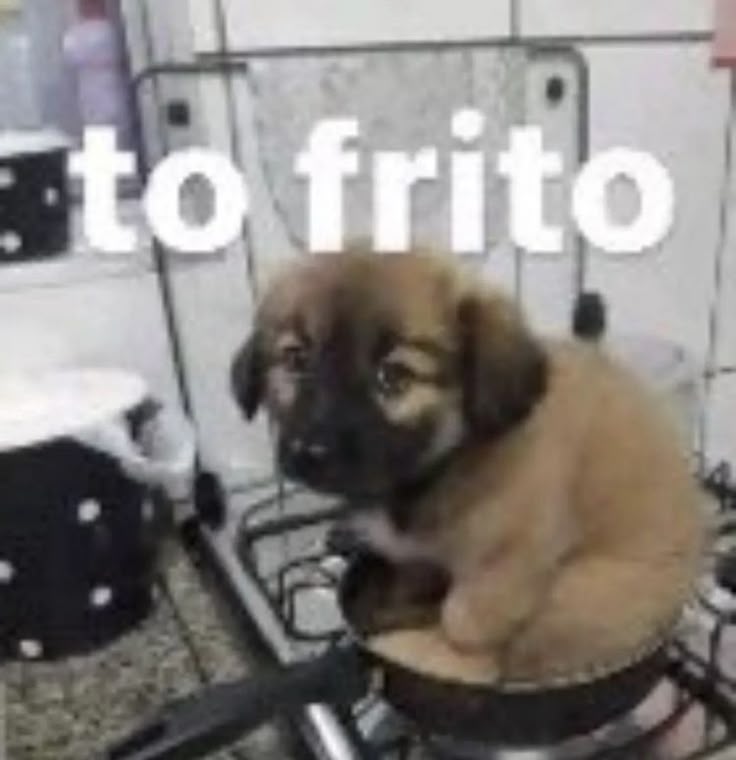 Dimitri