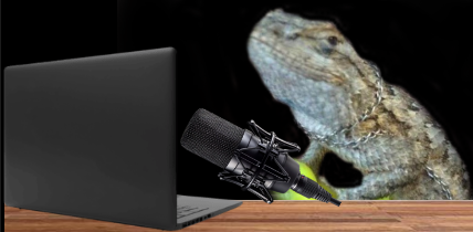 MonitorLizardDan