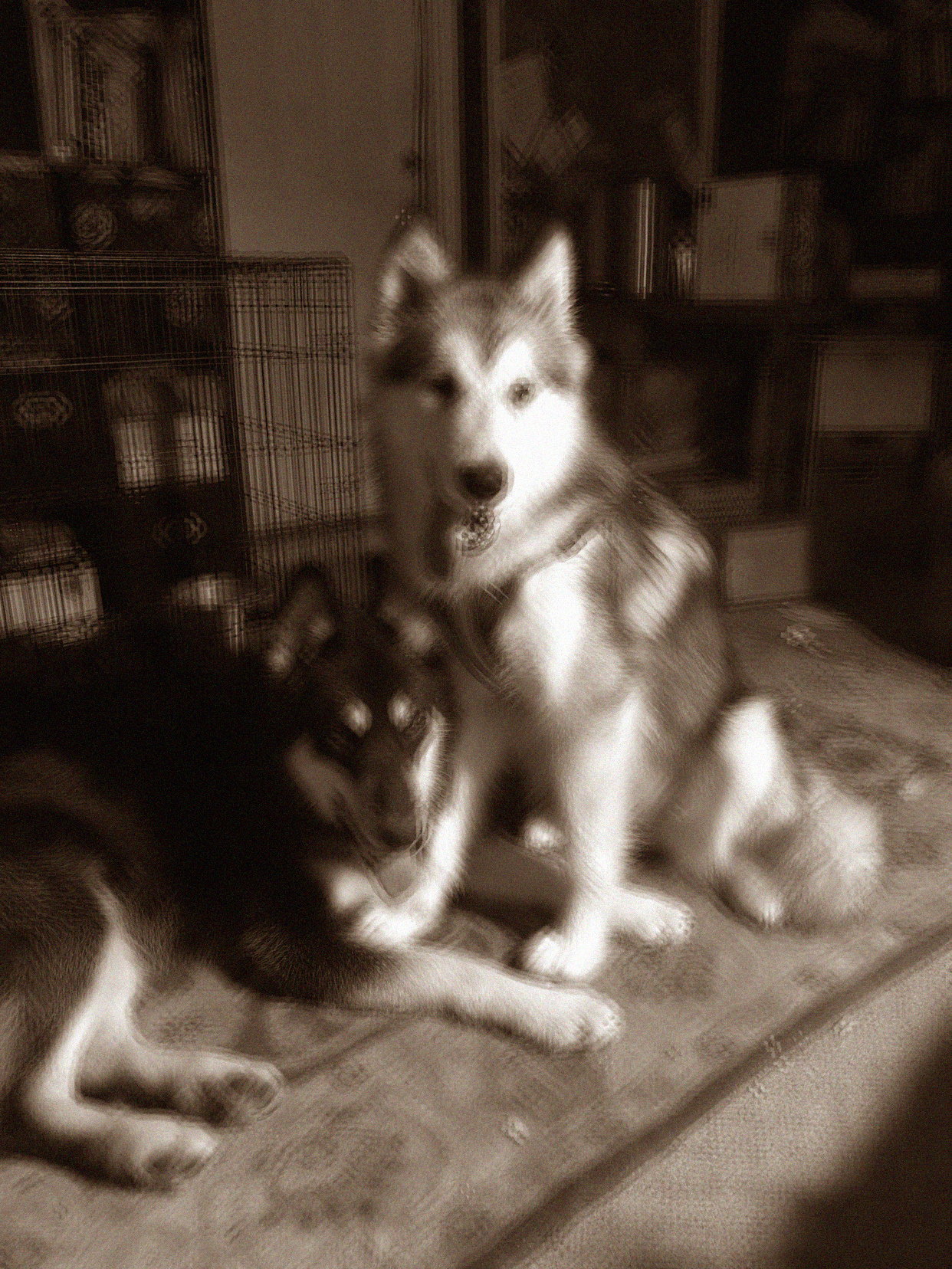 Maxie7
