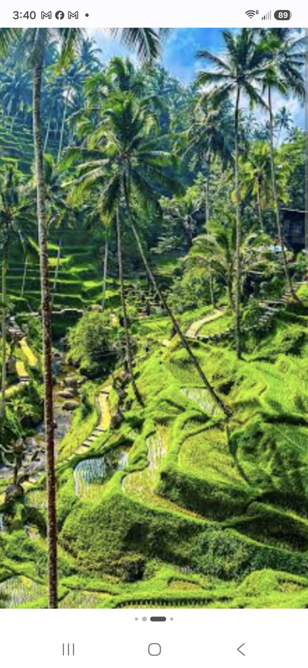 Bali Lover