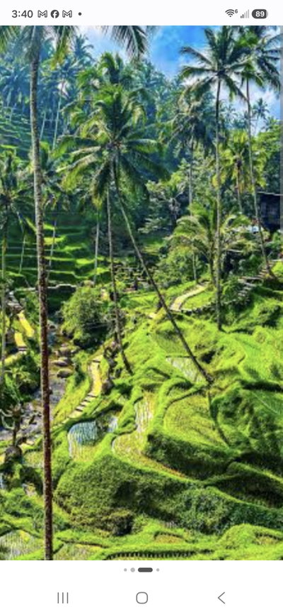 Bali Lover