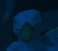 MUTATEDPIGEON