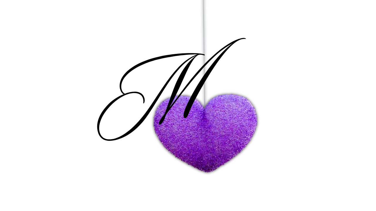 Michelley Studio