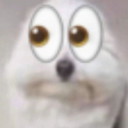 FooziboomVA