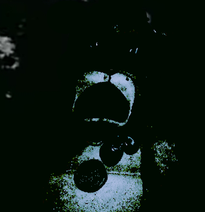 Heisen_bear