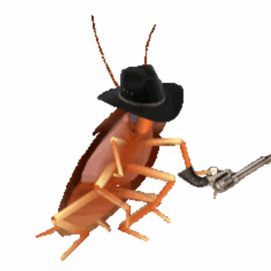 Raroachia
