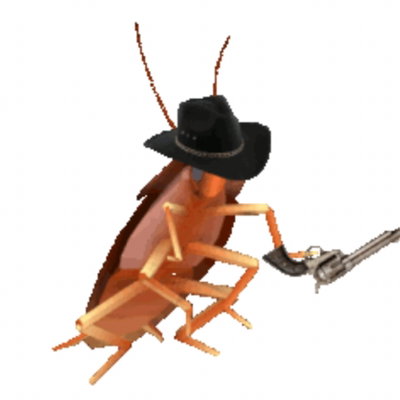 Raroachia