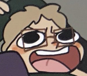 BryceyBoi3245