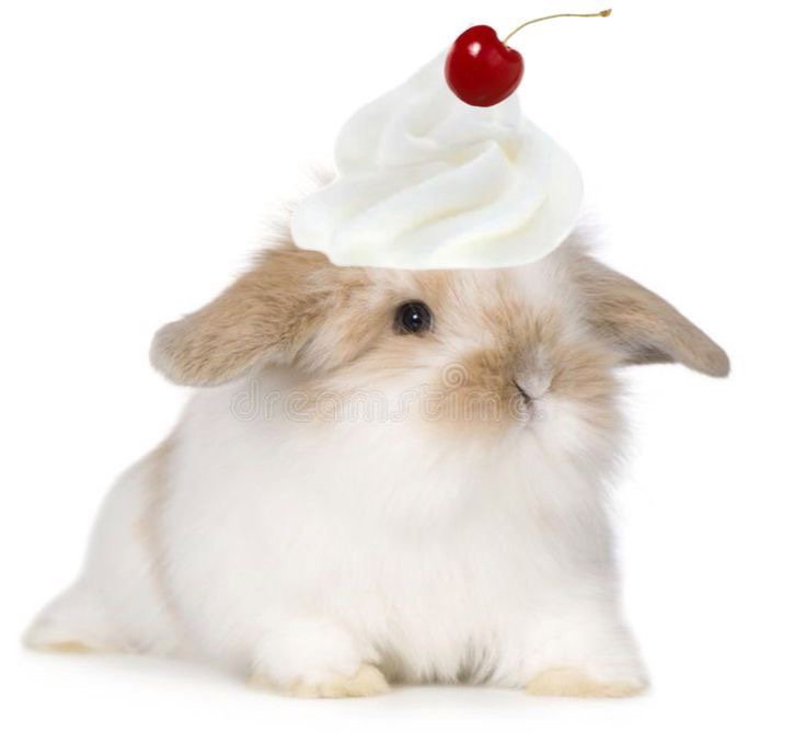 Sakura Hare