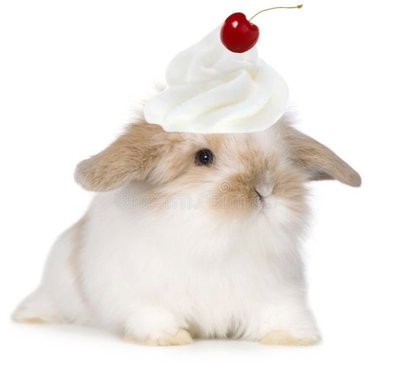 Sakura Hare