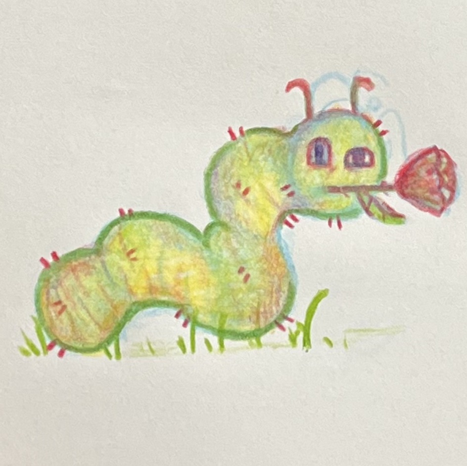 23ii