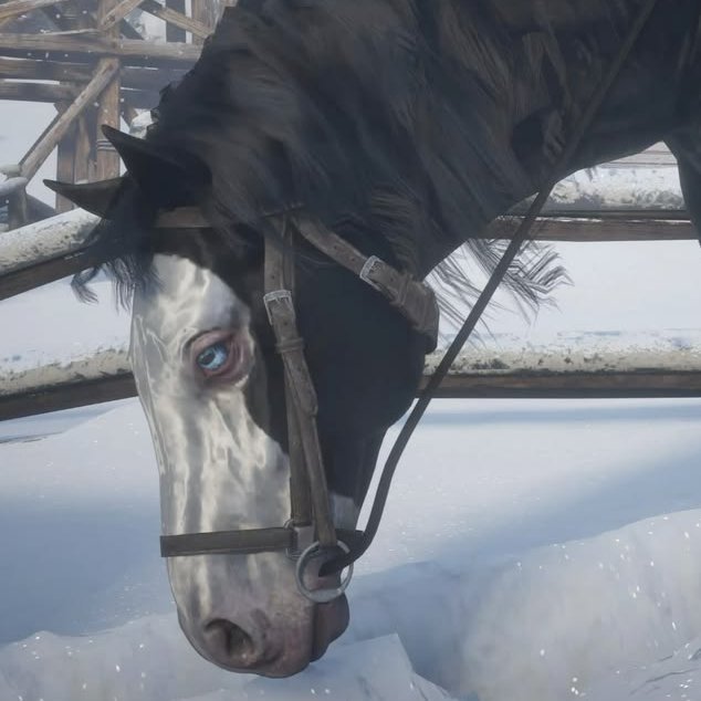 Micah