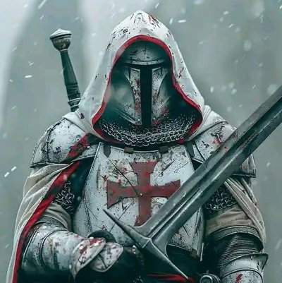 Templar knight 