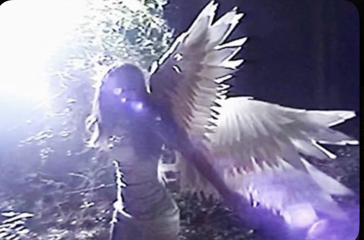 Angel