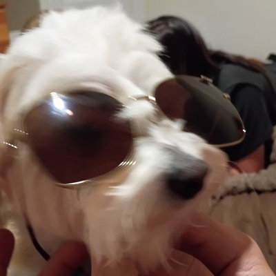 KJISCOOL49