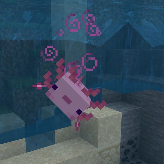 𝘌𝘴𝘸𝘢