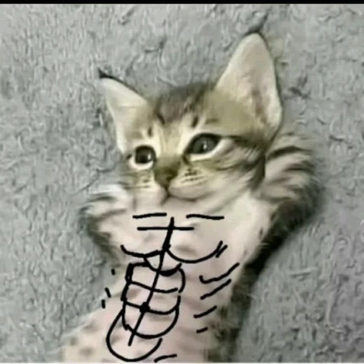 Saudi