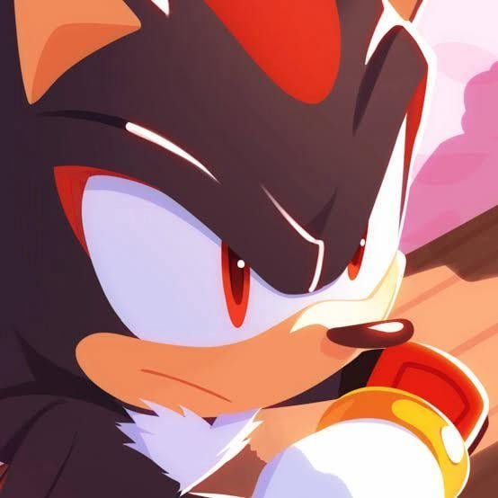 Shadow the VA