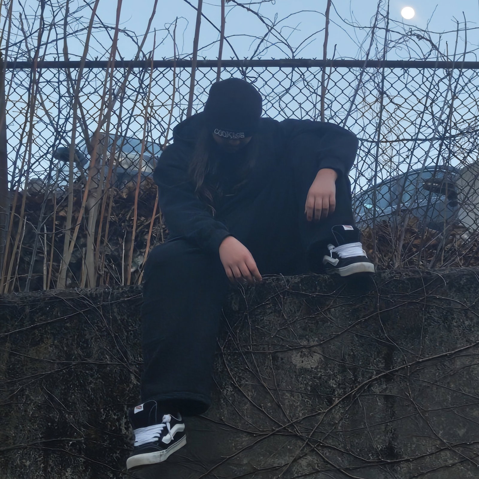 Leshy