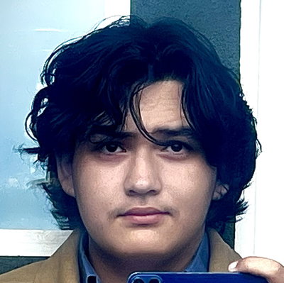 Ayden Palomares