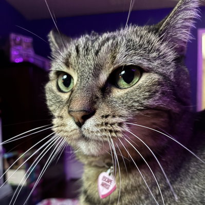 nic