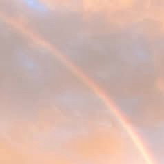 Vyolette Skies