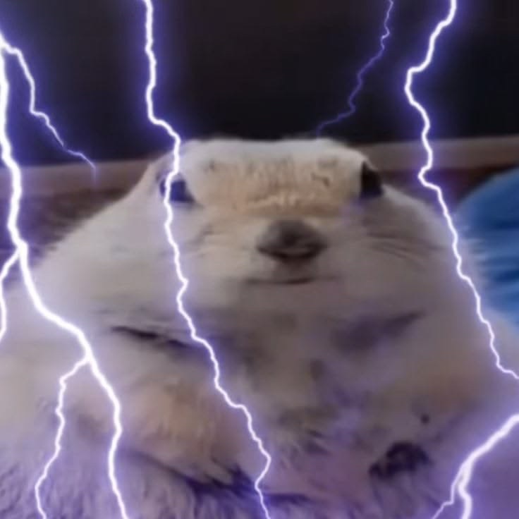 Lavryinth