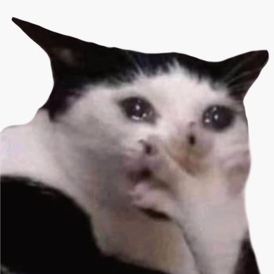 Koda_Catfeine